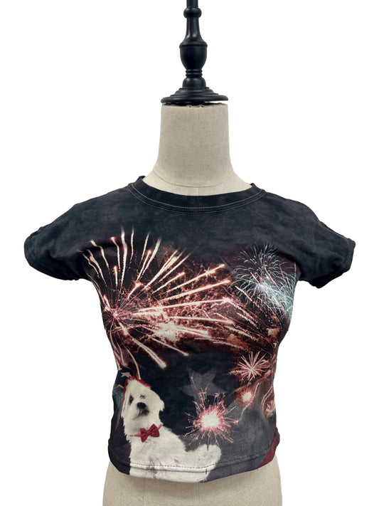 CHIBI-T チビTシャツ RM-［2507-110］